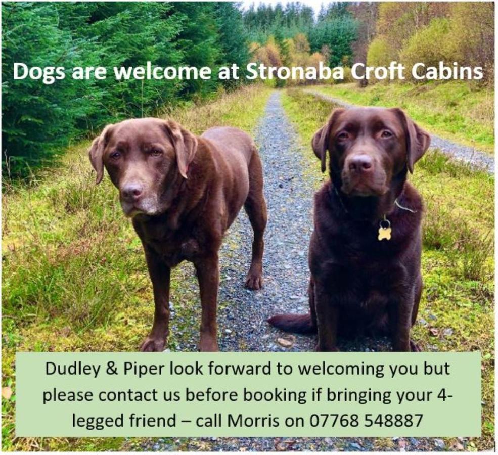 Stronaba Croft Cabins Spean Bridge Dış mekan fotoğraf